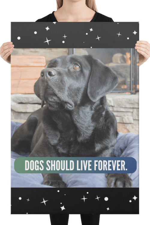 Live Forever | Custom Canvas Art