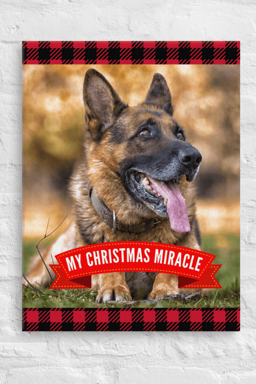 Christmas Miracle (Custom Portrait)