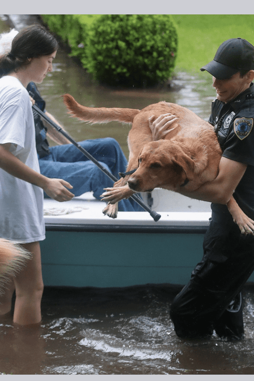 Texas Flood Emergency Supplies (100% Profit Donated)