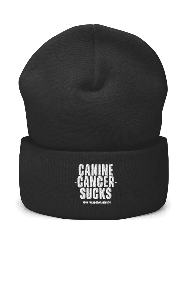 CC Sucks Beanie
