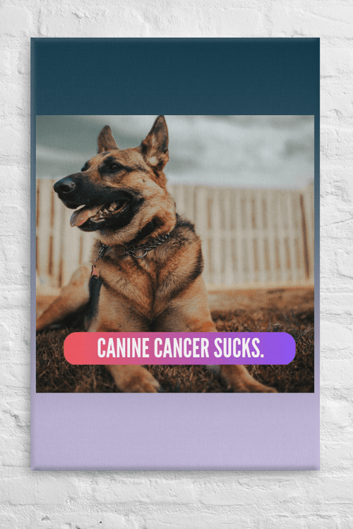 CC Sucks | Custom Canvas Art