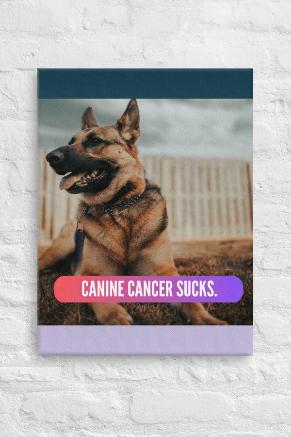 CC Sucks | Custom Canvas Art