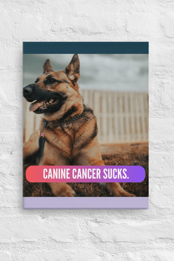 CC Sucks | Custom Canvas Art