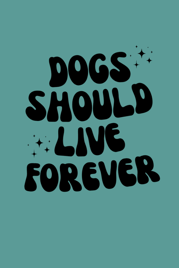 Live Forever Funky Uni T (Pigment Dyed)
