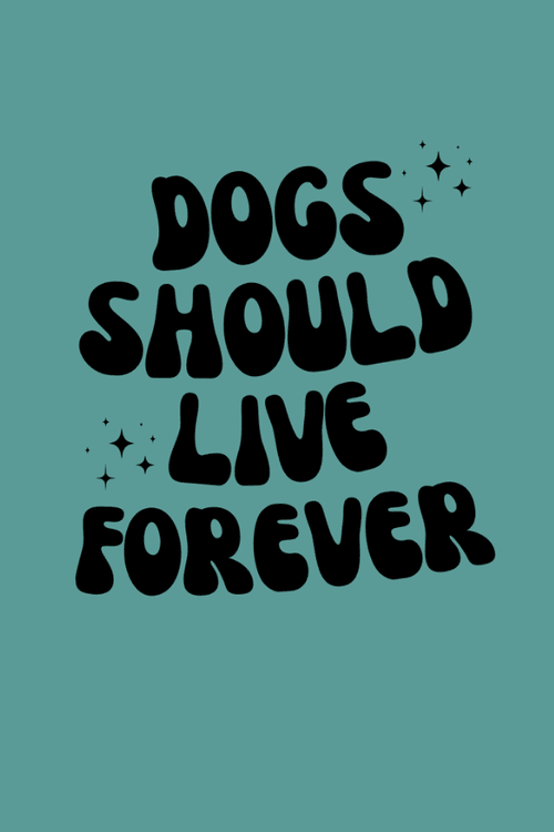 Live Forever Funky Uni T (Pigment Dyed)