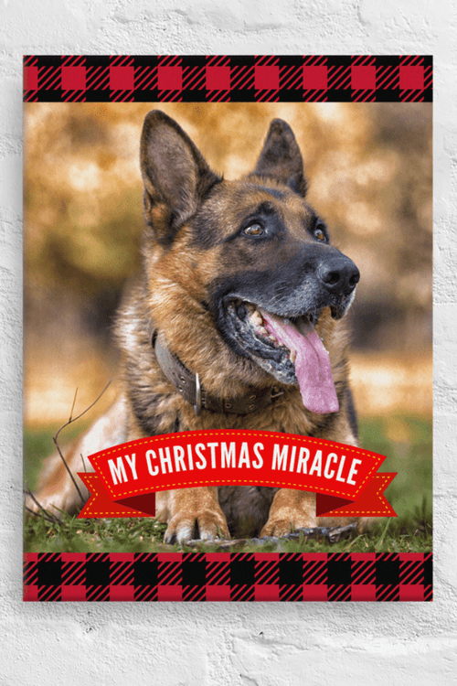 Christmas Miracle (Custom Portrait)
