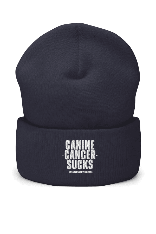 CC Sucks Beanie