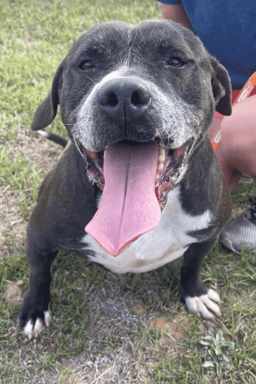 Troy Rescue Emergency Supplies (100% PROFIT DONATED)