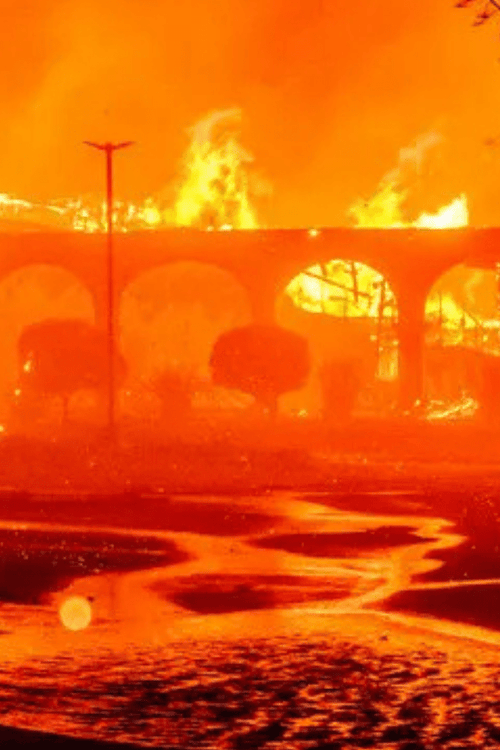 California Relief Supplies (100% Profit Donated)