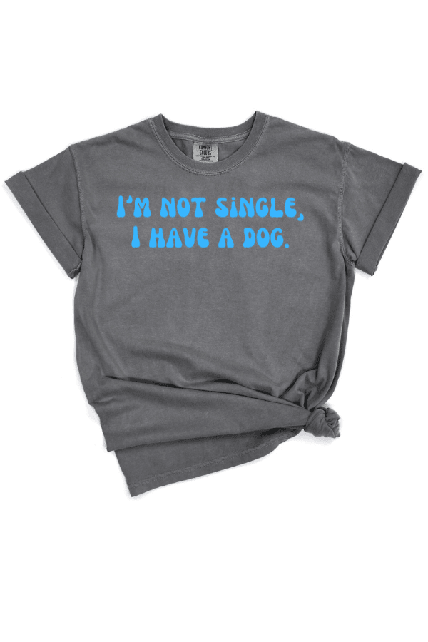 Single Pigment Dyed Uni T