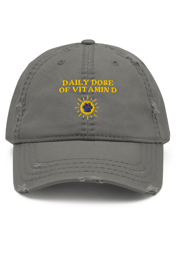 Vitamin D Distressed Hat