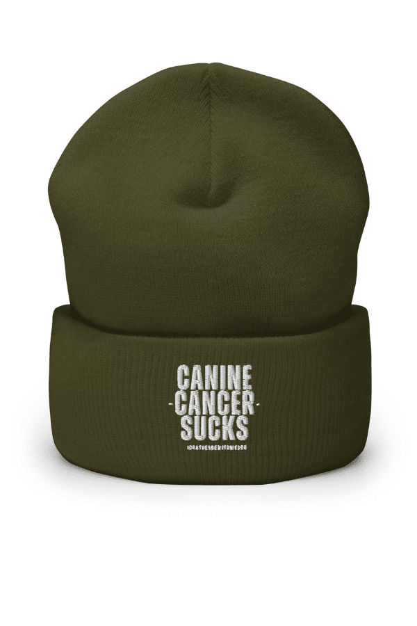CC Sucks Beanie
