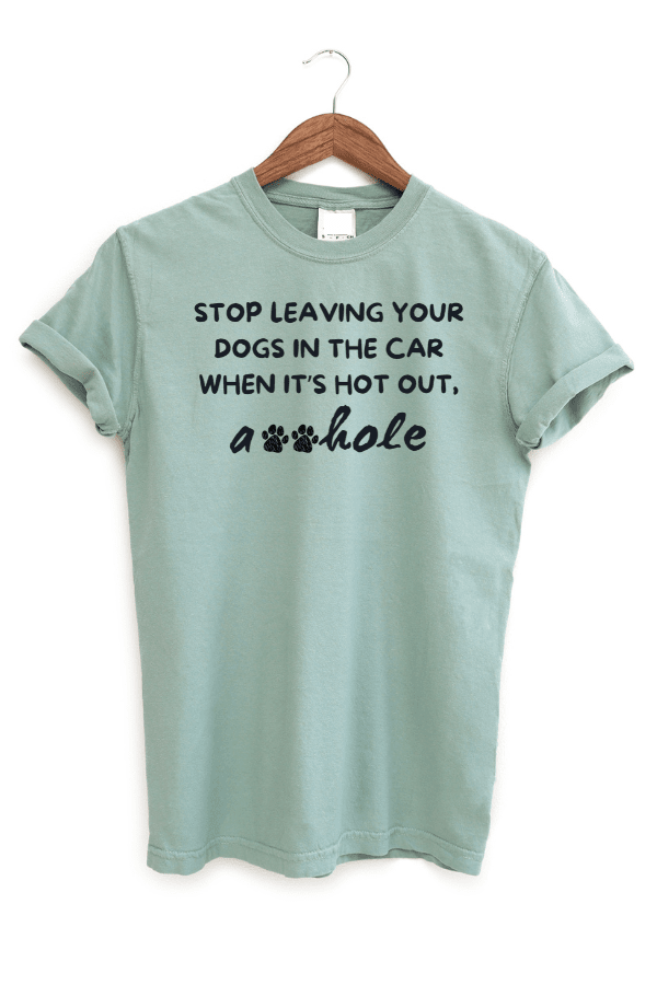 No Hot Car Pigment Dyed Uni T