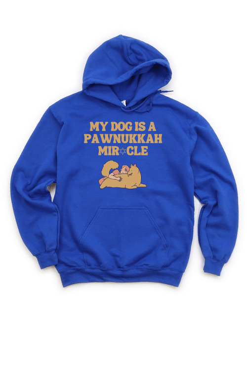 Pawnukkah Miracle Hoodie (Unisex)