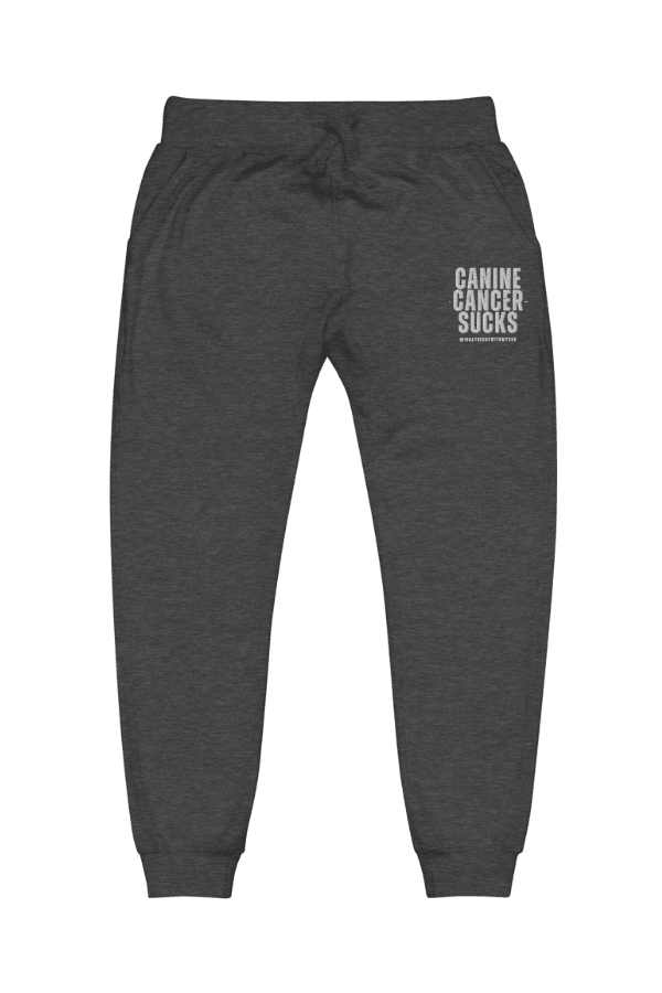 CC Sucks TriBlend Unisex Joggers