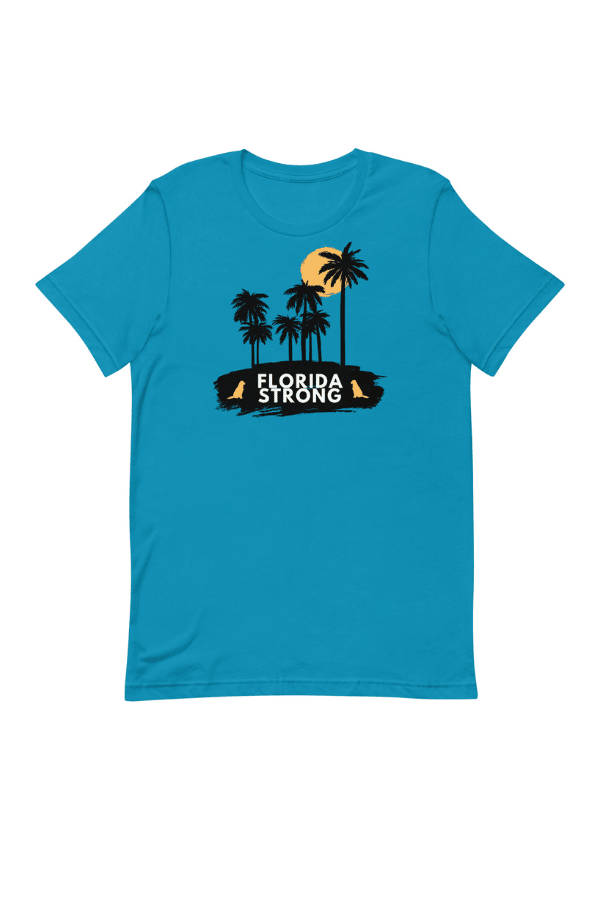 FL Strong Sunset Uni T (All Profit Donated)
