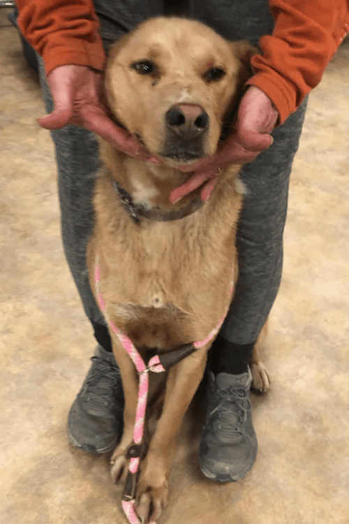 Alaska Rescue Supplies (ALL PROFIT DONATED)