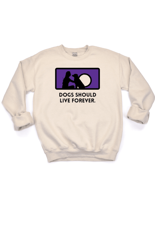 Forever Crewneck Uni Sweatshirt (Clearance)