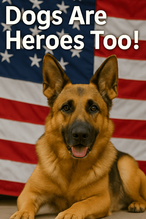 K9 Vet Care Package (100% PROFIT DONATED)
