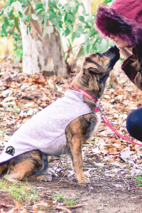 Doggy Fleece Jacket (DISCONTINUING)
