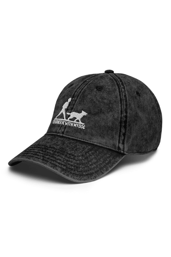 Vintage Distressed Cap