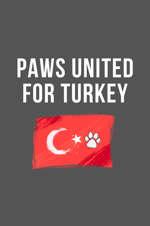 Paws United for Turkey Sweatshirt (100% PROFIT DONATED)