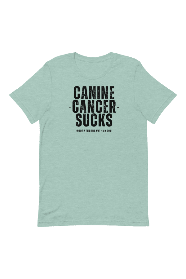 CC Sucks Unisex T (Special edition)