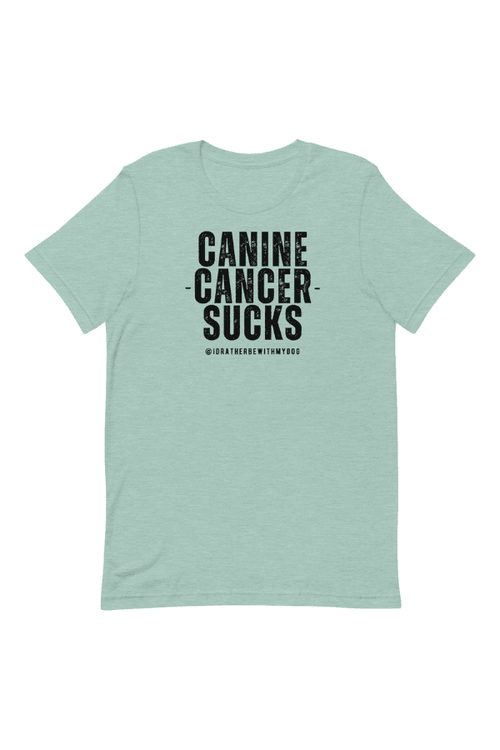 CC Sucks Unisex T (Special edition)