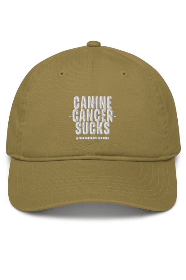 CC Sucks Baseball Hat