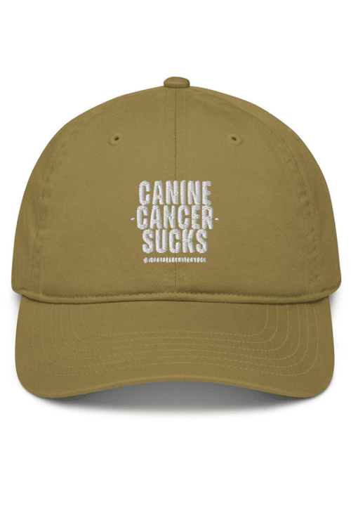 CC Sucks Baseball Hat