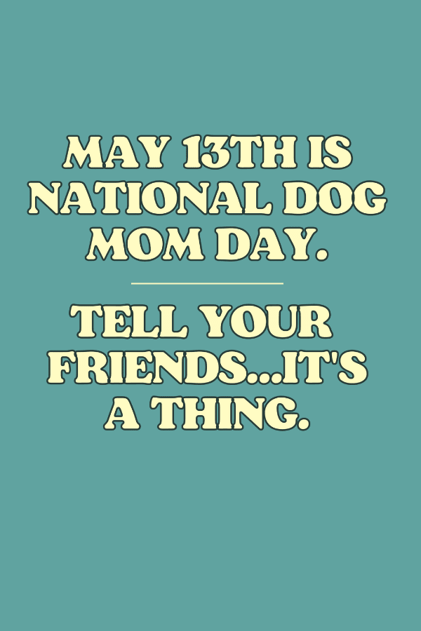 Your Friends Pigment Uni T