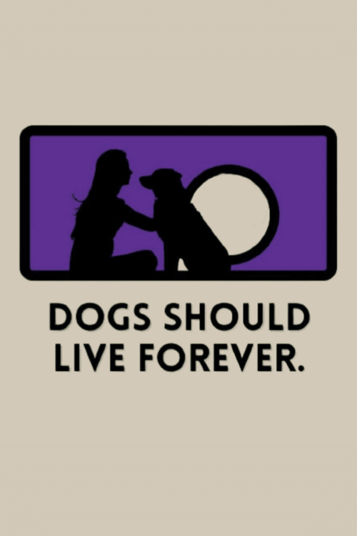 Live Forever Ladies Muscle Tank