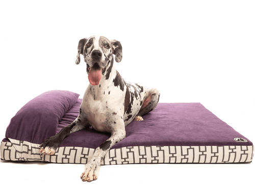 Replacement Attachable Bed Pillow