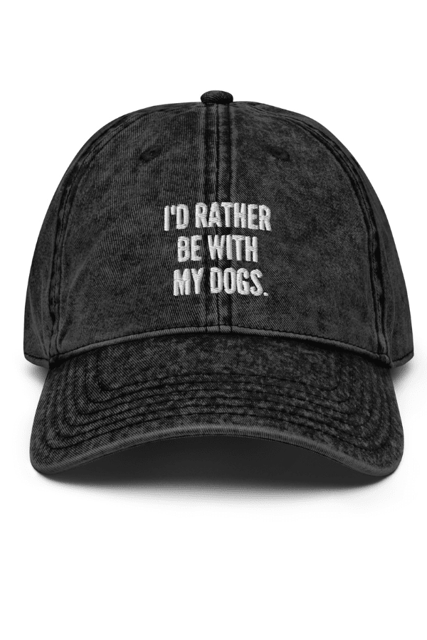 Vintage Dad Cap (Plural)