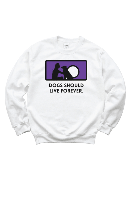 Forever Crewneck Uni Sweatshirt (Clearance)