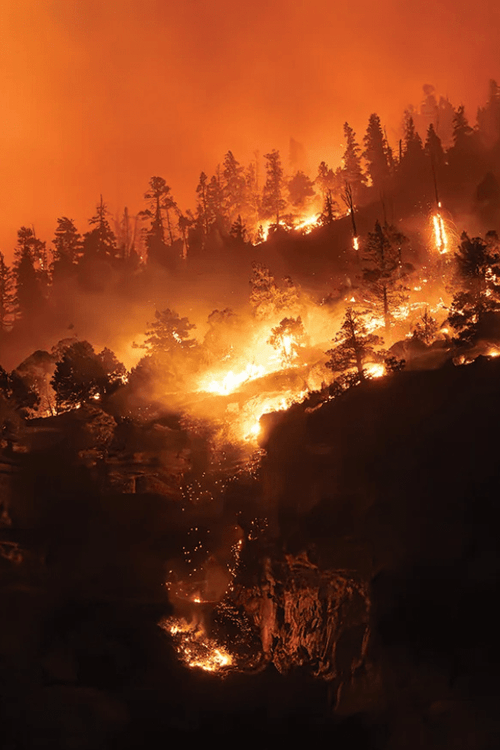 COLORADO EMERGENCY SUPPLIES (ALL PROFIT DONATED)