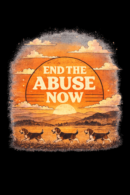 End the Abuse Vintage Uni Hoodie (All Profit Donated)