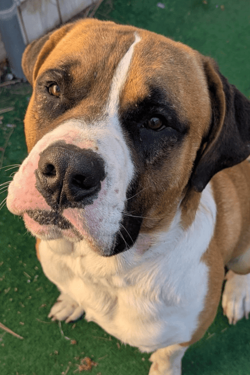 California Flooding Rescue Supplies (ALL PROFIT DONATED)