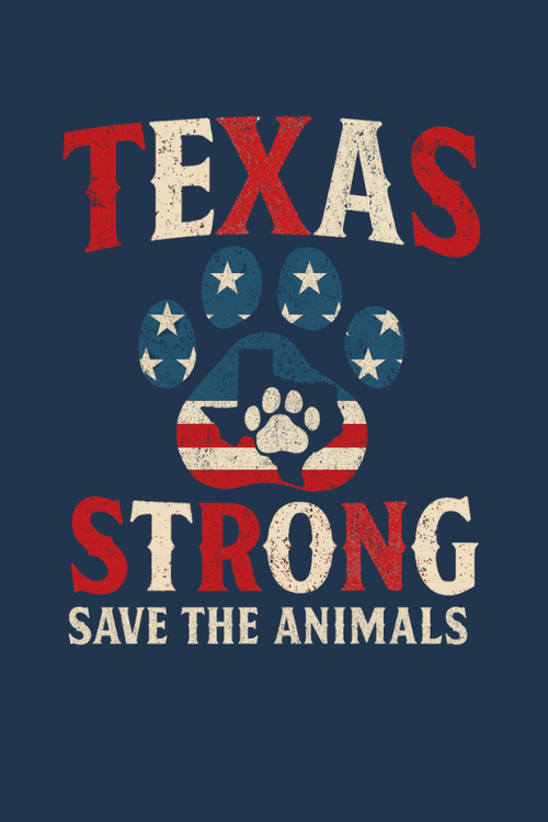 TX Flag Strong Uni Hoodie (ALL PROFIT DONATED)