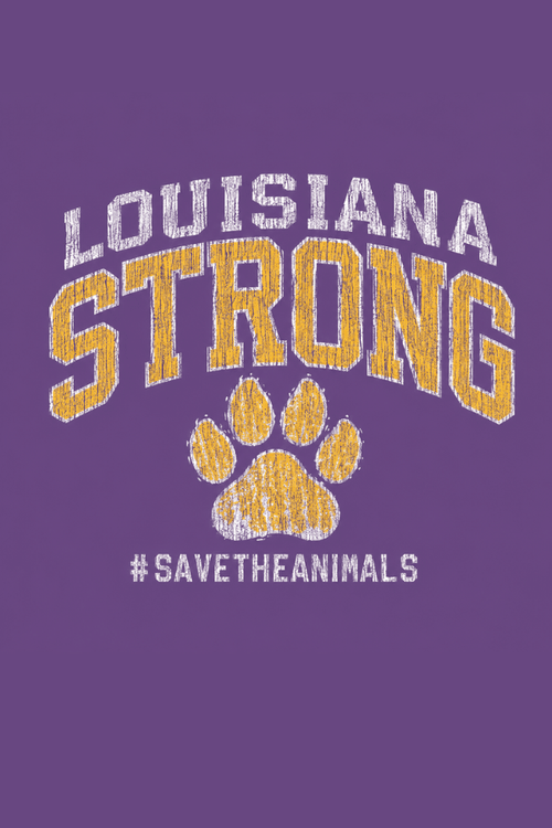 Louisiana Strong Pigment Dyed Uni T (All Profit Donated)