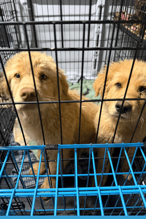 OK Tornado Relief Supplies (ALL PROFIT DONATED)