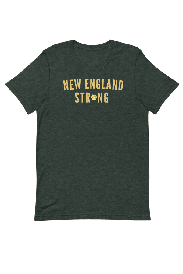 New England Strong Uni T (100% PROFIT DONATED)
