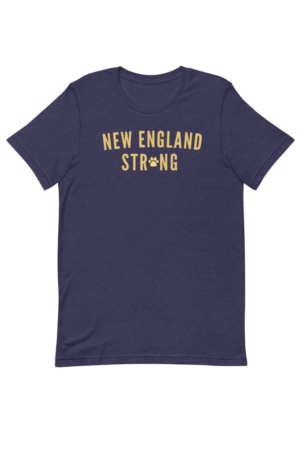 New England Strong Uni T (100% PROFIT DONATED)