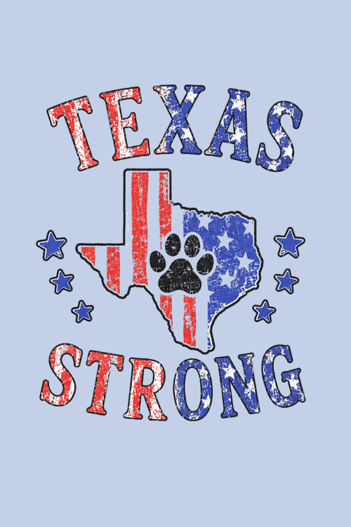 TX USA State Strong Pigment Dyed Uni T (All Profit Donated)