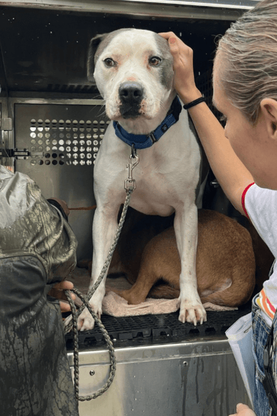 Texas Flood Emergency Supplies (100% Profit Donated)
