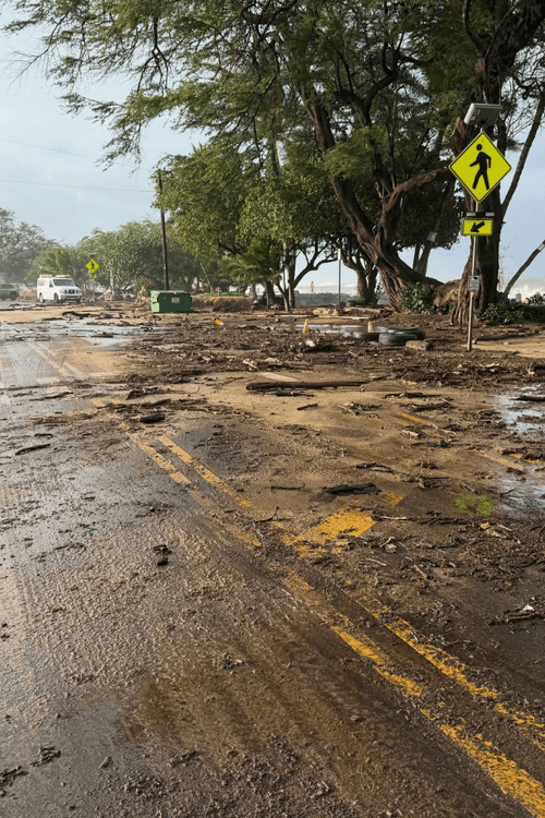 Hawaii Hurricane Emergency Supplies (All Profit Donated)