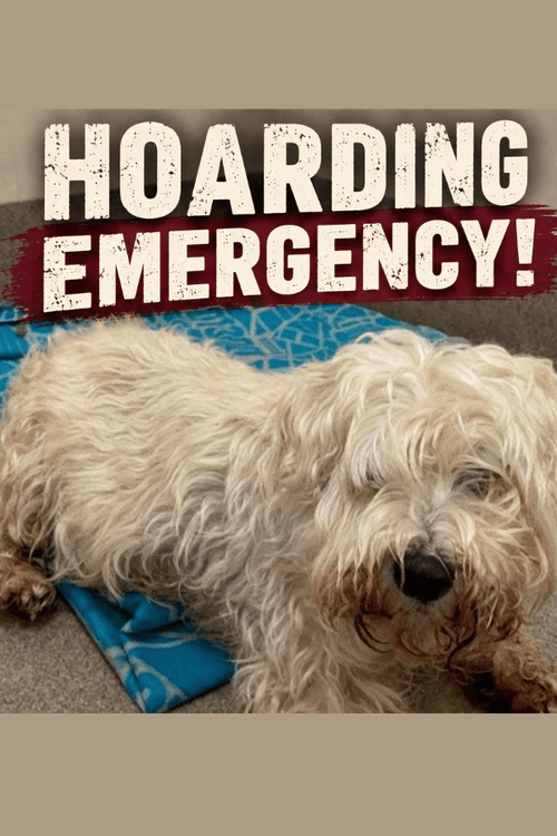 WESTIE RESCUE EMERGENCY SUPPLIES (ALL PROFIT DONATED)