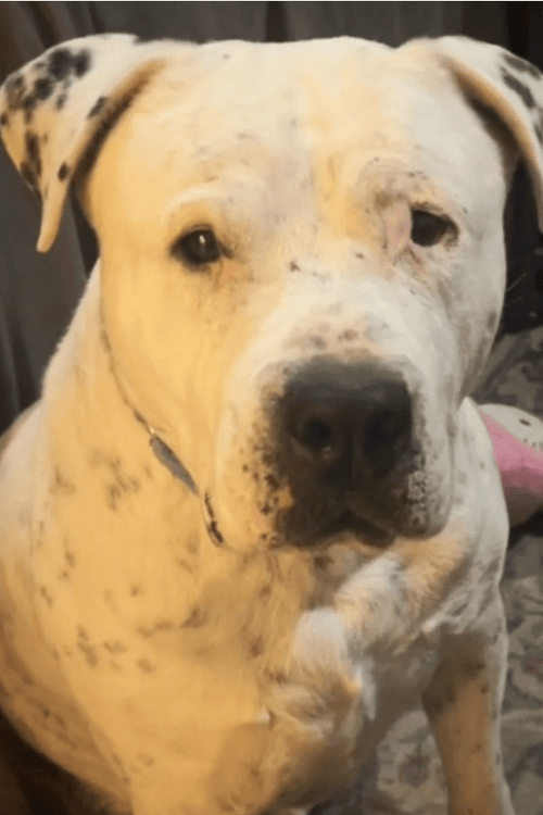 California Flooding Rescue Supplies (ALL PROFIT DONATED)