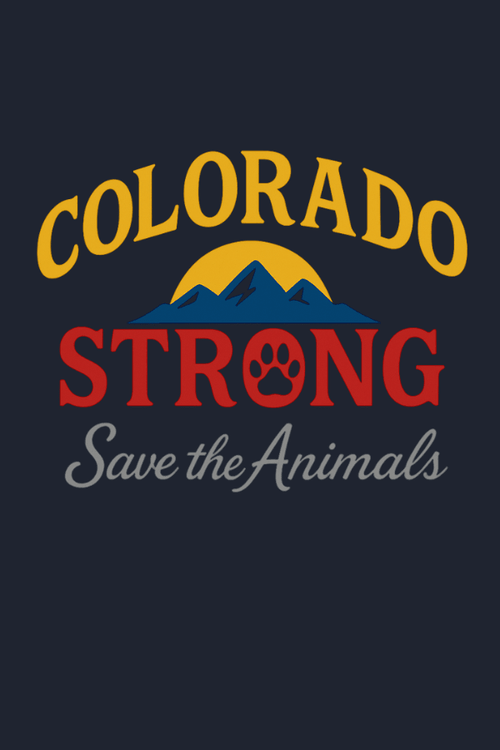 CO Flag Strong Uni Hoodie (ALL PROFIT DONATED)