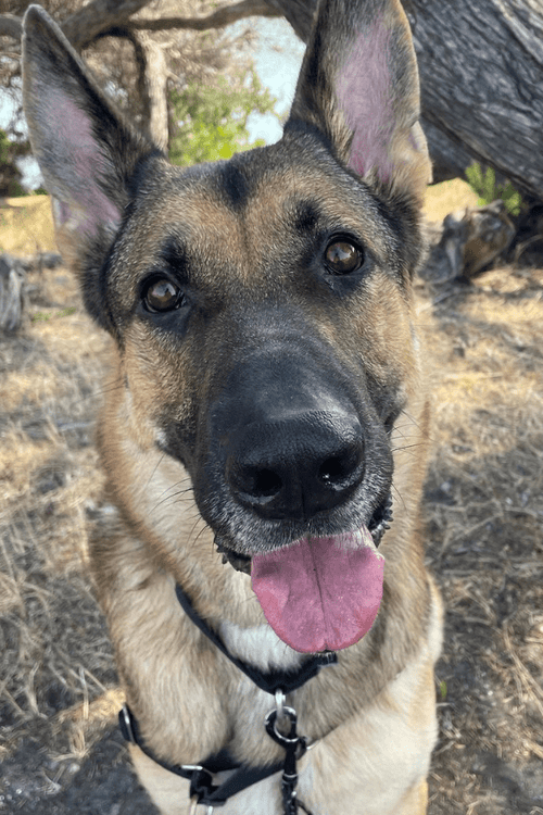 BERKLEY FIRE RESCUE SUPPLIES (ALL PROFIT DONATED)